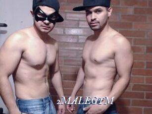 2MALEGYM