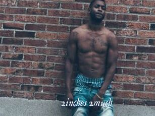 2inches_2much