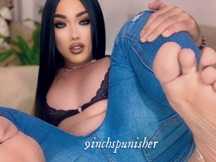 9inchspunisher Cam 5