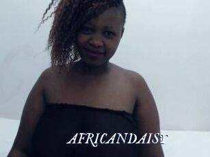 AFRICANDAISY