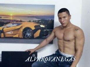 ALVAROVANEGAS