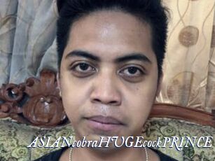 ASIANcobraHUGEcockPRINCE Cam 5