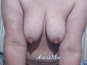 AcaciaMae