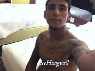AceHungwell Cam 5