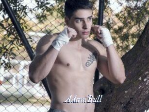 AdamBull
