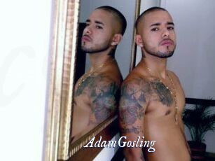 AdamGosling