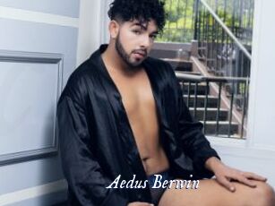 Aedus_Berwin