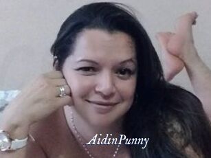 AidinPunny