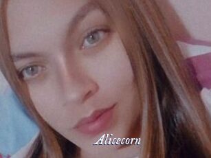 Alicecorn