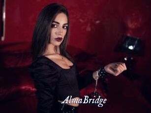 AlmaBridge Cam 5