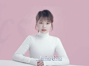 AminaGina