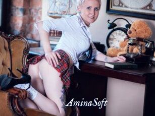 AminaSoft