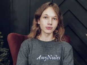 AmyNoiles