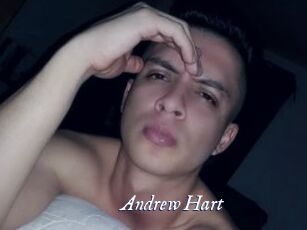 Andrew_Hart Cam 5