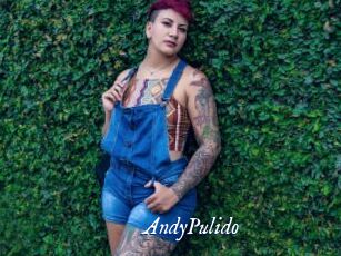AndyPulido