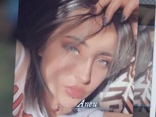 Aneu