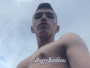 AngryBirdions