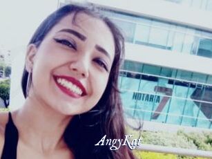 AngyKat