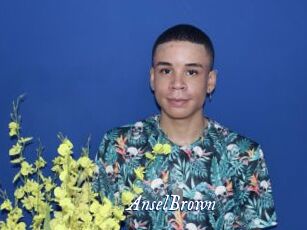 AnselBrown