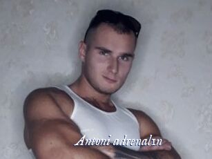 Antoni_adrenal1n