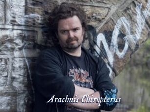 Arachnis_Chiropterus