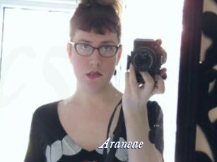 Araneae