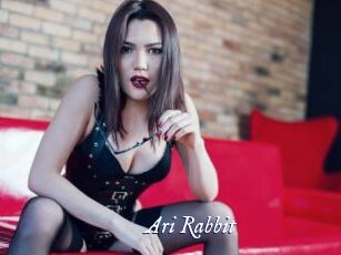 Ari_Rabbit