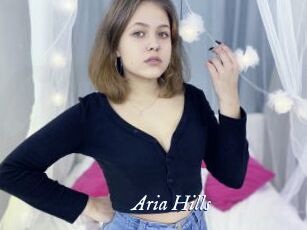 Aria_Hills Cam 5