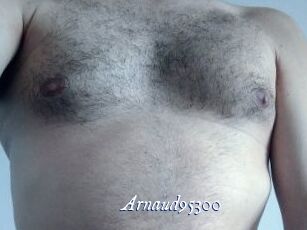 Arnaud95300