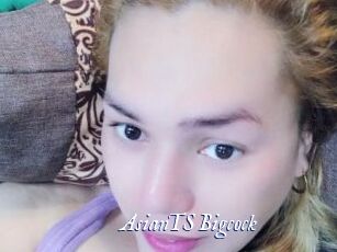 AsianTS_Bigcock