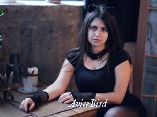 AviceBird