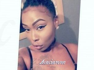 Acacia_rowe