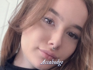 Accabodge