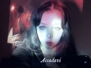 Accadavi