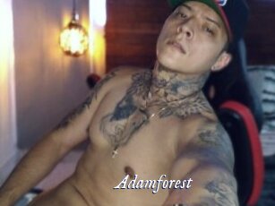 Adamforest