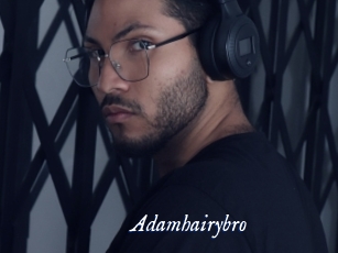 adamhairybro Cam 5
