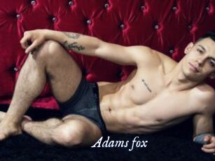 Adams_fox