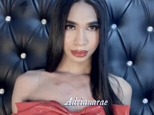 Adrianarae