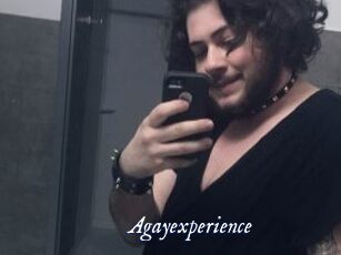 Agayexperience