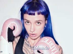 Aidacache