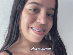 Alarconcam