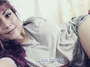 Aleja_burnig