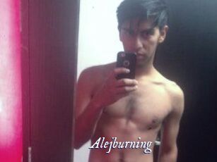 Alejburning