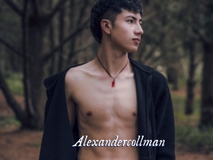 alexandercollman Cam 5
