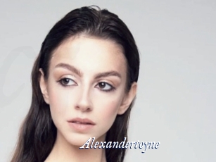 Alexandertoyne