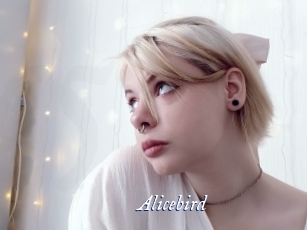 Alicebird