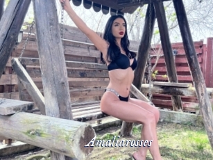 Amaliarosses