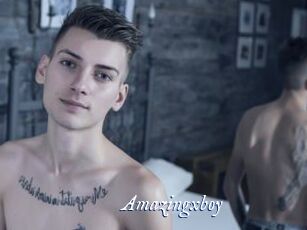 Amazingxboy