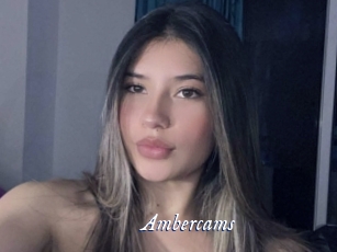 Ambercams