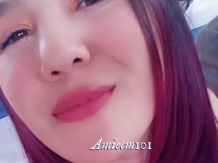 Amiecm101